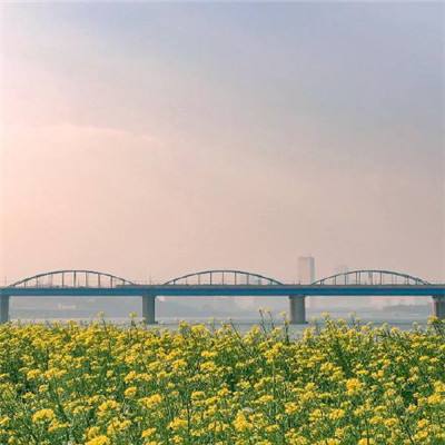 路人搏基测试服