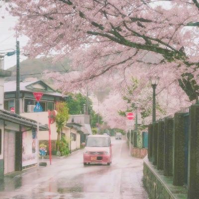 万灵启源测试服下载